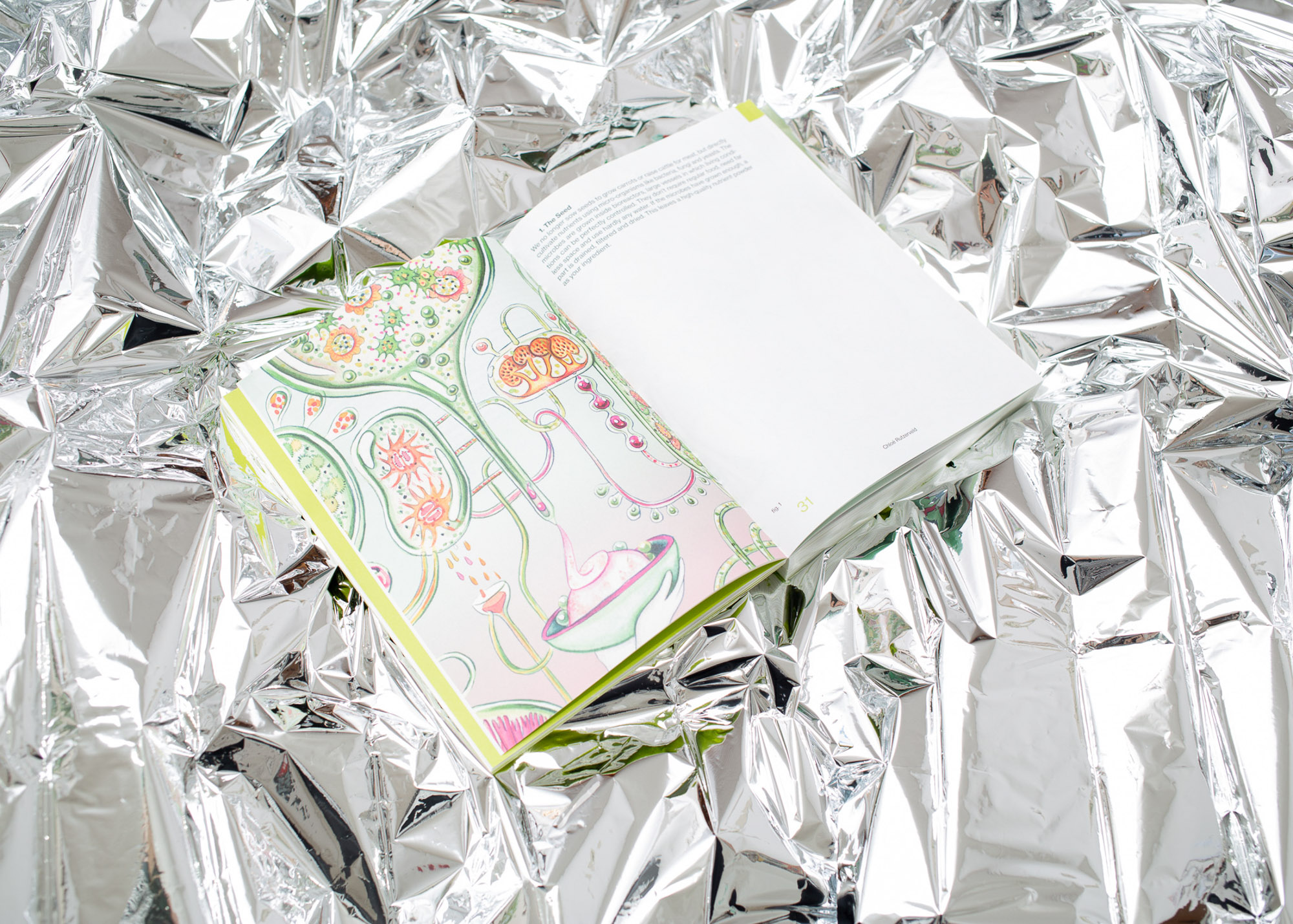 Recipes for the Future<