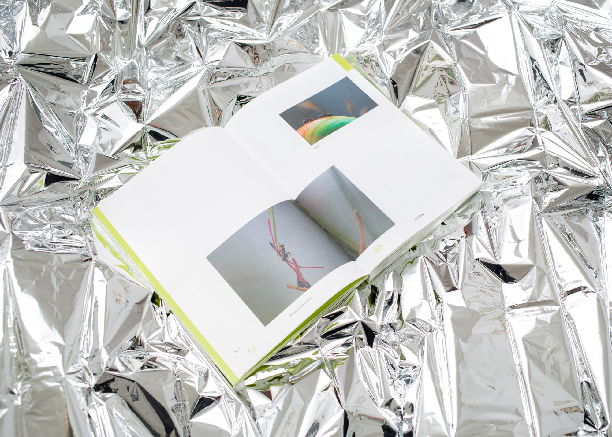 Recipes for the Future<